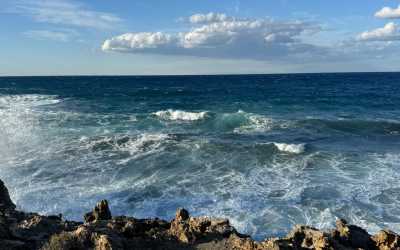 Wycieczka fakultatywna, Wycieczka Marathon Jeep Safari Pisouri