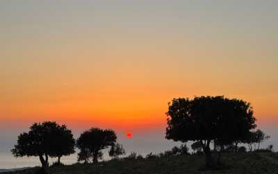 Wycieczka fakultatywna, Z Pafos do wąwozu Avakas Kanyon [33]