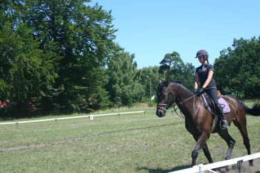 Obóz młodzieżowy, Niezapomniana Nadmorska Przygoda - OBÓZ KONNY (11-18 lat). Profesjonalne szkolenie dla początkujących, średnio zaawansowanych, zaawansowanych, obóz sportowo-szkoleniowy