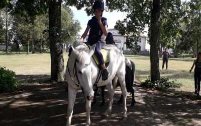 Obóz młodzieżowy, Kolonia konna My Little Pony Runowo, 10 dni 6-10 lat